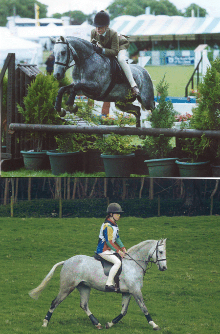 Novice Working Hunter Pony